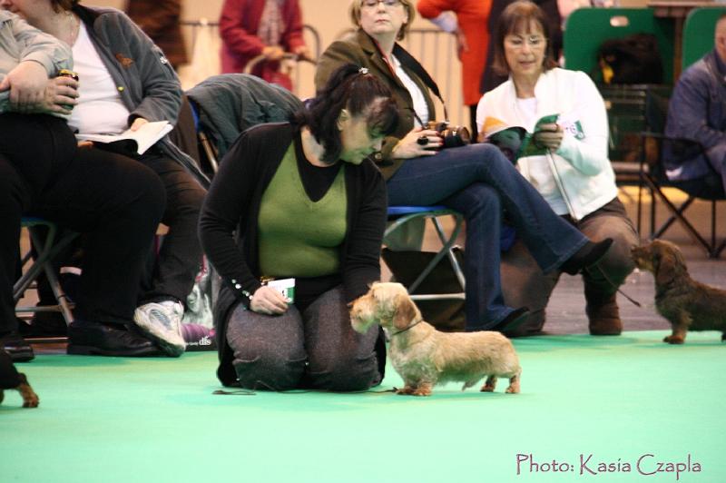 Crufts2011_2 463.jpg